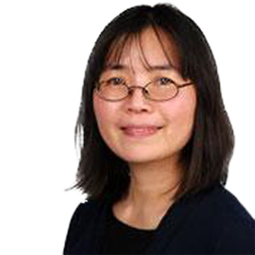Dr. Xiaoyan Wang